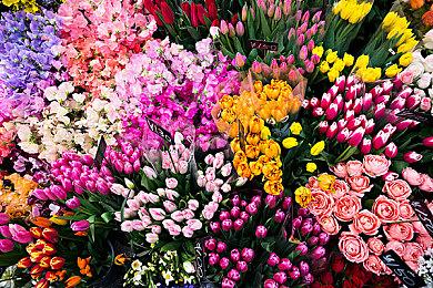 《GTA：三部曲-终极版》HD材质包 提供全新路面效果