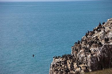 FocusEntertainment同TwoHorizons合作发行Hotel Renovator